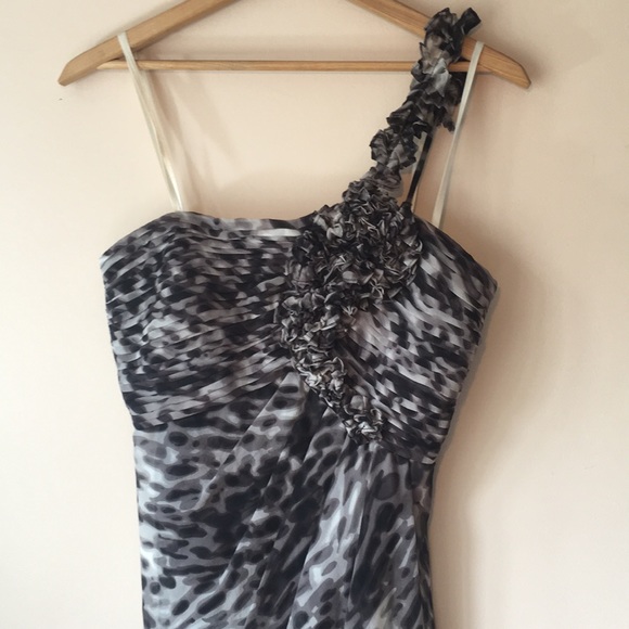 🆕 BCBG | Beautiful Animal Print Dress - Picture 3 of 8